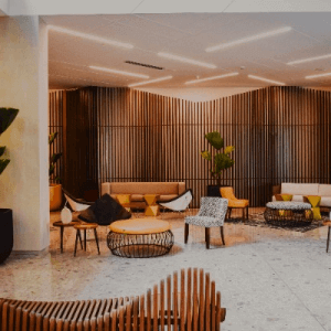 License & Regulation